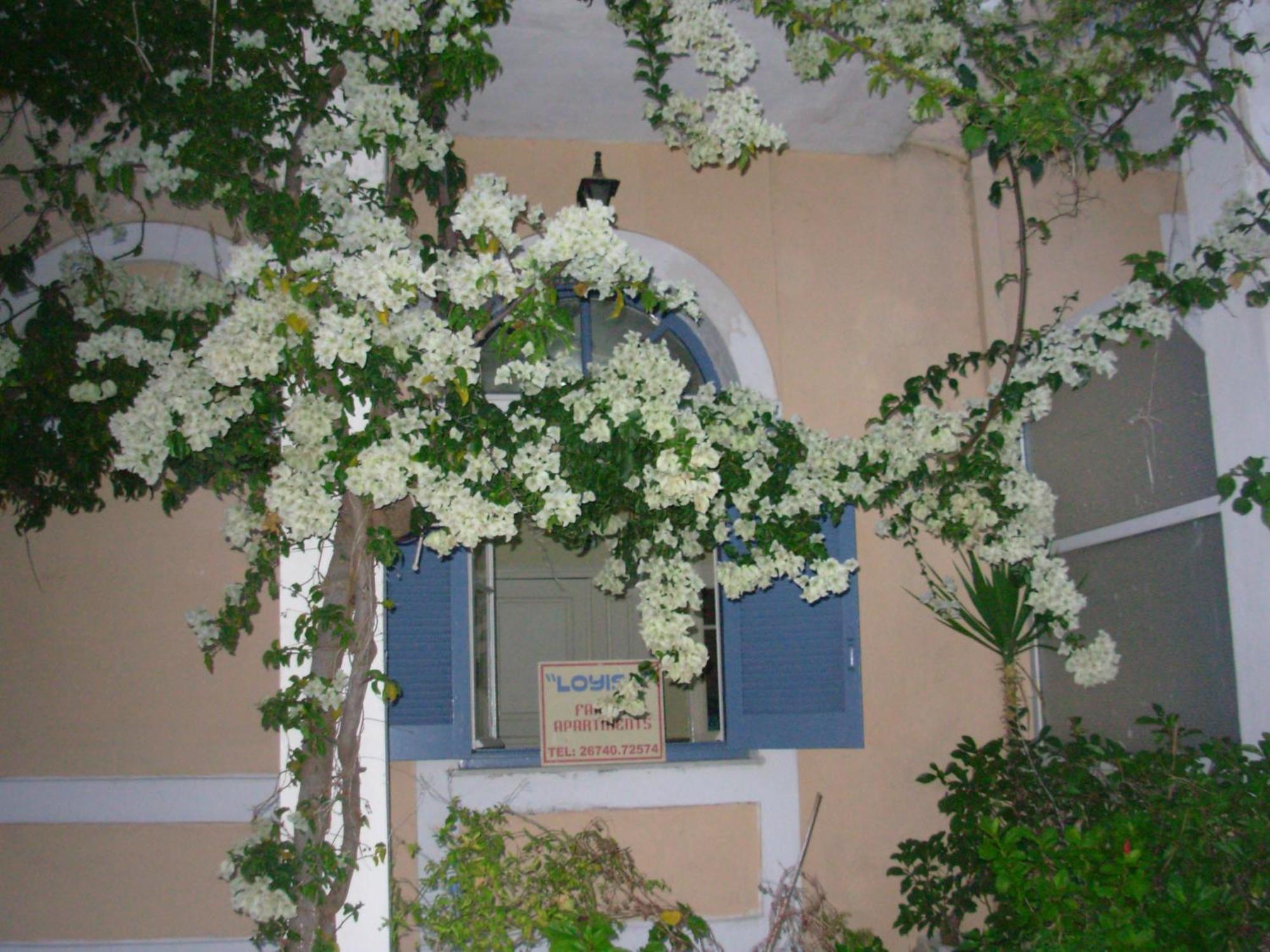 Louisa Studios Poros  Dış mekan fotoğraf